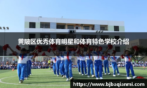 黄陂区优秀体育明星和体育特色学校介绍