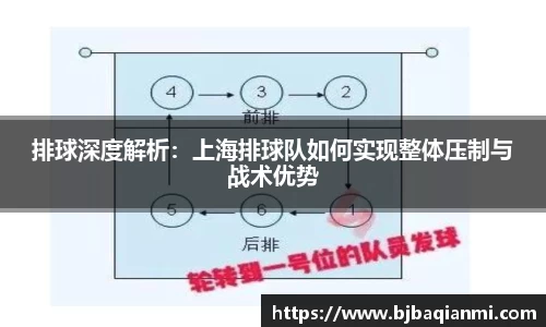 排球深度解析：上海排球队如何实现整体压制与战术优势