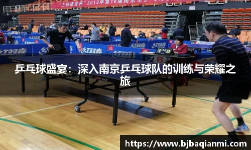 乒乓球盛宴：深入南京乒乓球队的训练与荣耀之旅