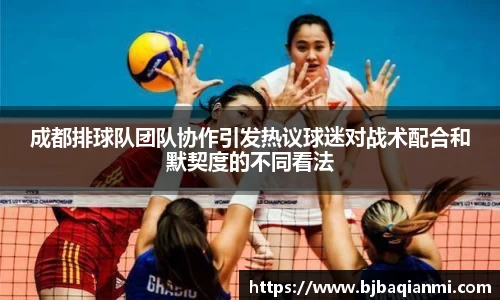 成都排球队团队协作引发热议球迷对战术配合和默契度的不同看法